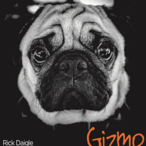 Gizmo